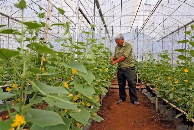 Fortalecen negocios sostenibles en Vietnam para elevar competitividad en mercado mundial ảnh 1