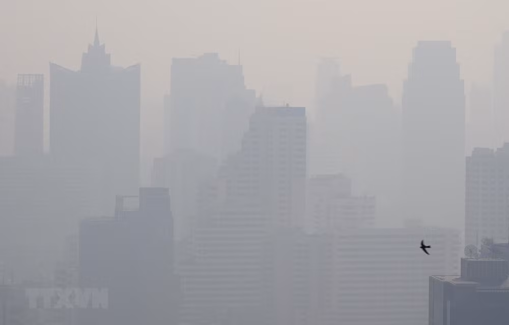 ASEAN trabaja para hacer frente a neblina transfronteriza ảnh 1