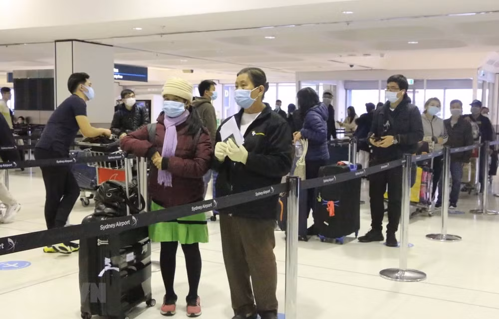 Repatrían a 340 ciudadanos vietnamitas varados en Australia ảnh 1