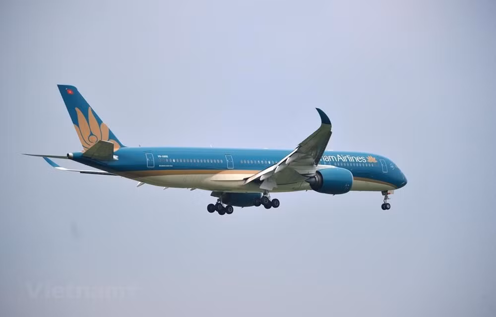 Vietnam Airlines abre la venta de boletos para el periodo del Año Nuevo Lunar 2021 ảnh 1