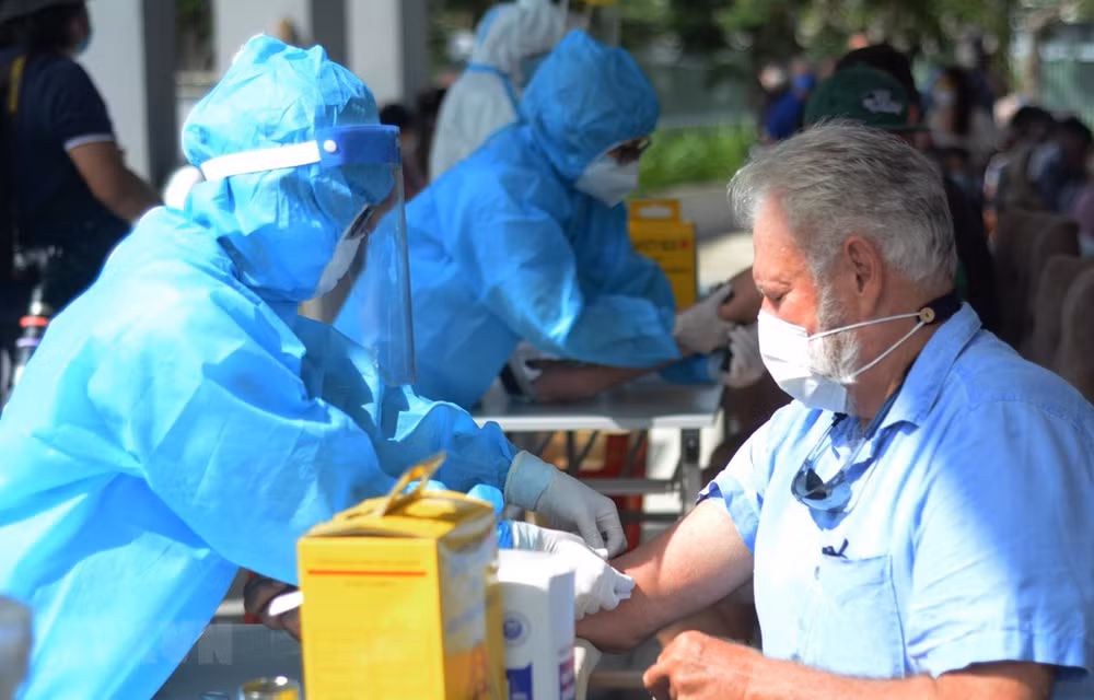 Vietnam registra 592 pacientes curados del COVID-19 ảnh 1