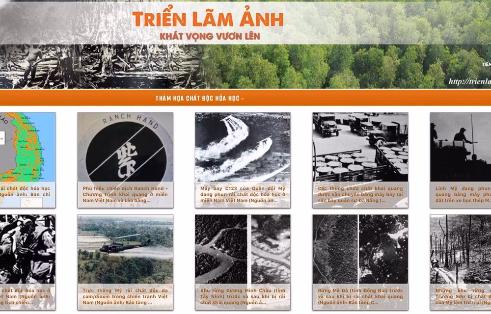 Efectúan exposición de fotos y seminario sobre secuelas de Agente Naranja en Vietnam ảnh 1
