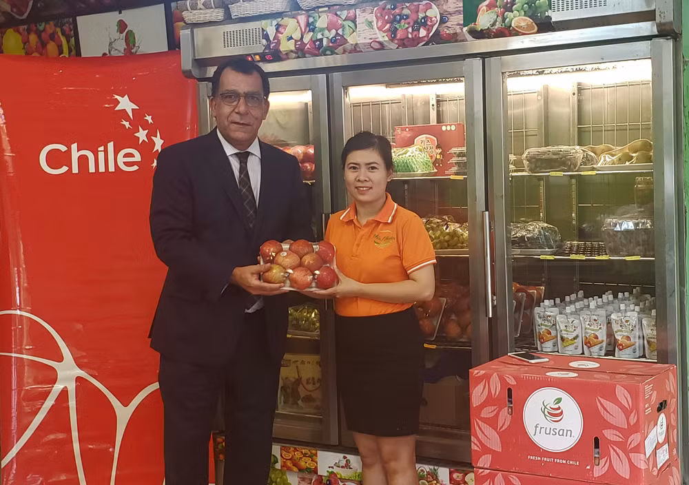 Primeras manzanas chilenas llegan a Vietnam ảnh 1