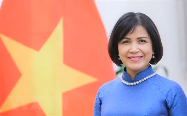 Vietnam participa en las negociaciones de OMC sobre subsidios a pesca ảnh 1