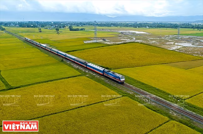 Estudian construcción de ferrocarril Ciudad Ho Chi Minh-Can Tho ảnh 1