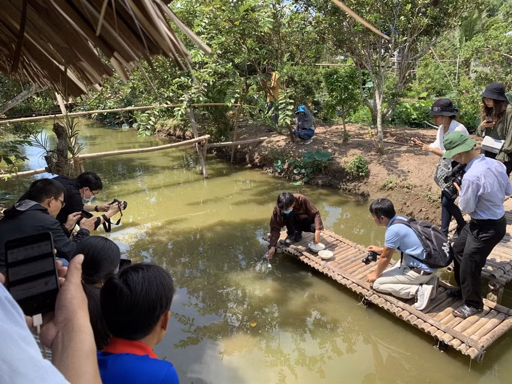 Zona sureste de Vietnam se convertirá en destino ecológico después del COVID-19 ảnh 1