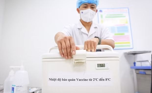 JICA suministra a Vietnam cajas enfriadoras para preservar vacunas ảnh 1