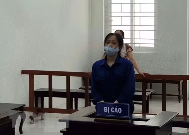 Condenan a prisión a responsable de delitos contra el Estado en Vietnam ảnh 1