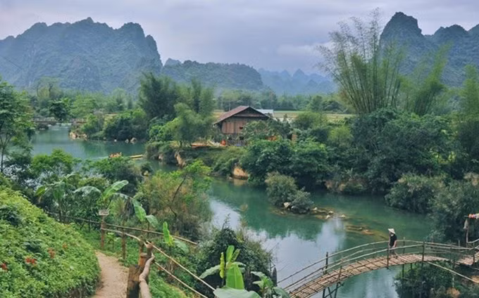 Aumenta número de turistas a provincia vietnamita en primeros seis meses del año ảnh 1