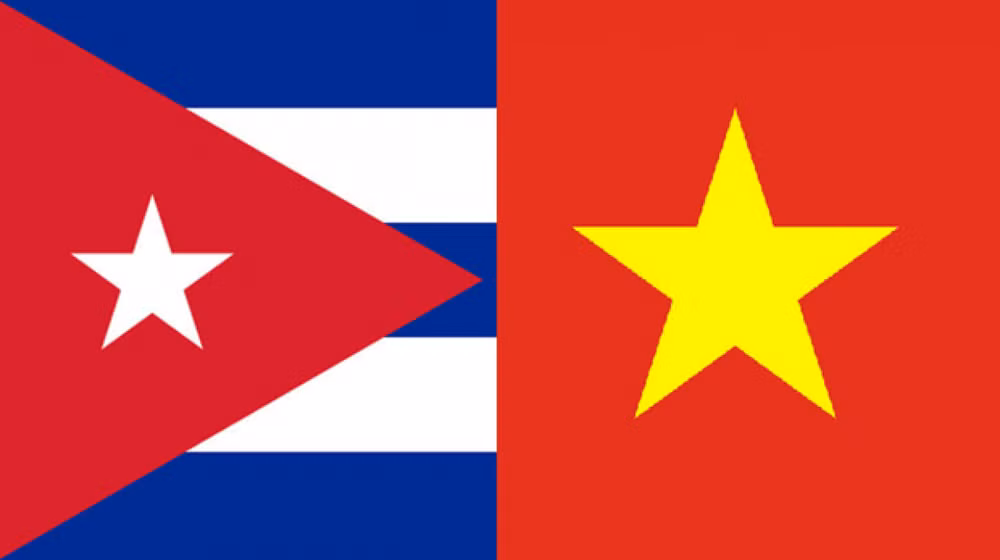 Transmiten ex becarios vietnamitas mensaje de apoyo a Cuba ảnh 1