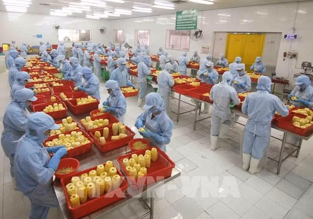 Aumentan un 17,4 por ciento las exportaciones vietnamitas de frutas y hortalizas ảnh 1
