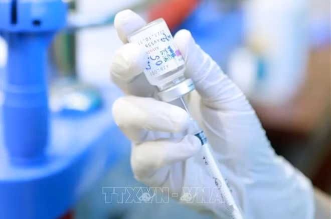 Reino Unido y la República Checa donarán a Vietnam miles de dosis de vacunas contra el COVID-19 ảnh 1