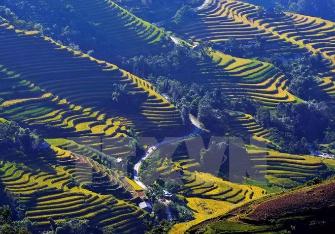 Inauguran en provincia de Vietnam Festival de batintines de etnia Muong ảnh 1