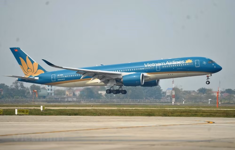 Gobierno invertirá casi 346 millones de dólares en Vietnam Airlines ảnh 1