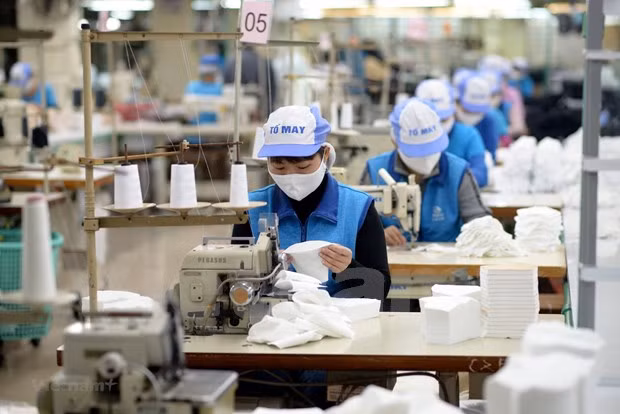 Vietnam exporta más de mil 370 millones de mascarillas en 2020 ảnh 1