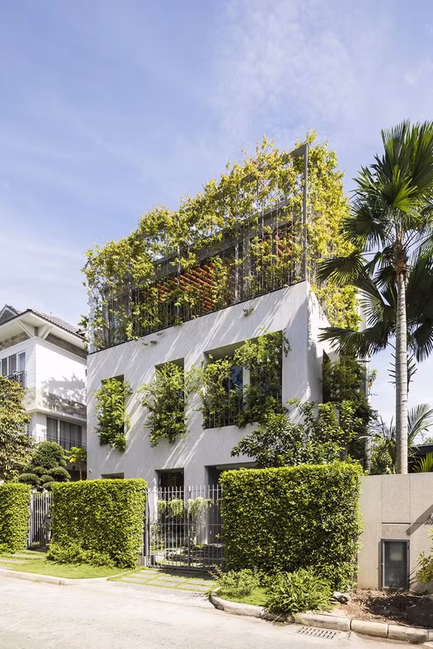 Arquitecto vietnamita gana premio regional de diseño ảnh 1