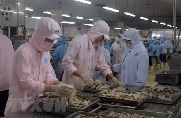 Vietnam aboga por relaciones comerciales equitativas y sostenibles con Estados Unidos ảnh 1
