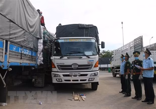 Provincia vietnamita registra exportaciones multimillonarias por puertas fronterizas ảnh 1