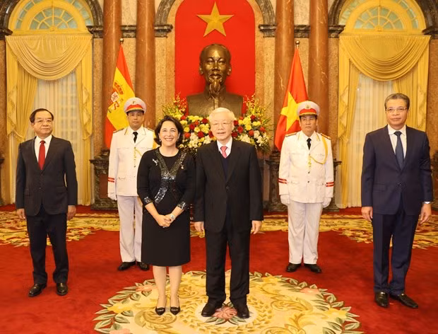 Máximo dirigente de Vietnam aboga por incrementar lazos con otros países ảnh 1