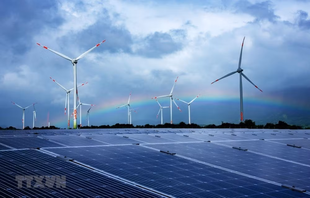 Prensa internacional: Rápido crecimiento, impulso de consumo de energía verde en Vietnam ảnh 1