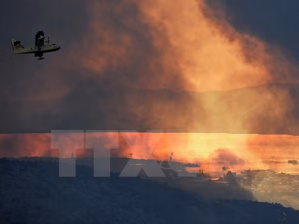Malasia dispuesta a ayudar a Indonesia a combatir incendios forestales ảnh 1