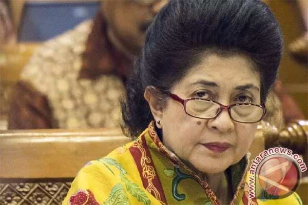  Indonesia y Japón intensifican cooperación en sector de salud ảnh 1