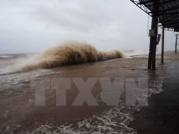 Quang Ninh suspende operación de barcos turísticos debido a tifón Talas ảnh 1