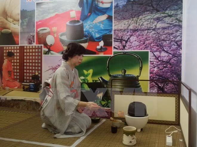 En Da Nang festival cultural Vietnam-Japón ảnh 1