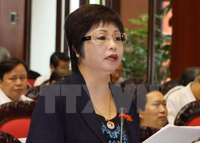 Inician en Vietnam procedimiento legal contra exdiputada por fraude comercial ảnh 1