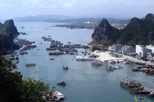 Premier vietnamita aprueba plan del desarrollo de la zona económica de Van Don ảnh 1