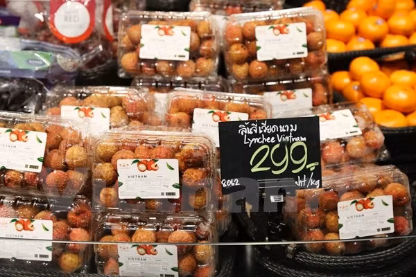 Exportan primer lote de lichi vietnamita a Tailandia ảnh 1