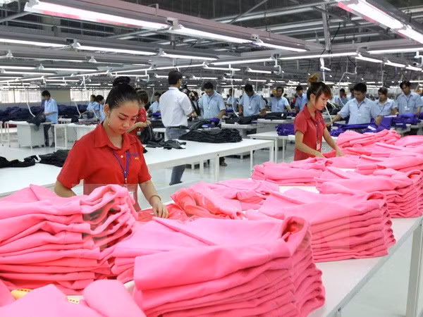 Jóvenes políticos australianos aprecian política laboral de Vietnam ảnh 1