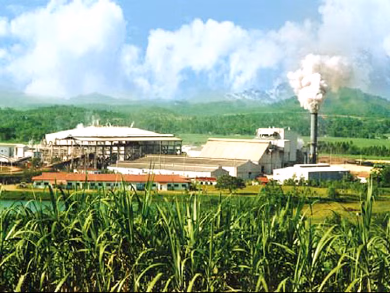 Cambodia inaugura mayor fábrica de azúcar refinado de Asia ảnh 1