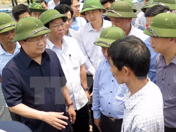 Vicepremier exige detectar causas de muerte masiva de peces en Ha Tinh ảnh 1