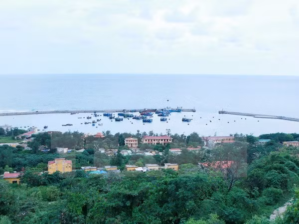 Guardacostas de Vietnam y China fomentan cooperación por una zona marítima pacífica ảnh 1