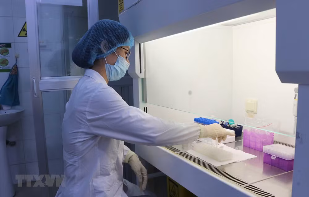 Sospechosos con COVID-19 en Hanoi dieron negativo en prueba de detección del virus ảnh 1