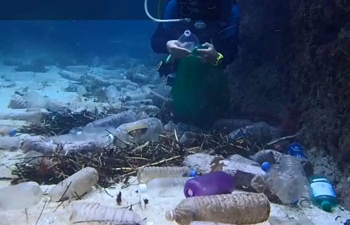 Promueve Vietnam investigación sobre ecosistemas marinos ảnh 1