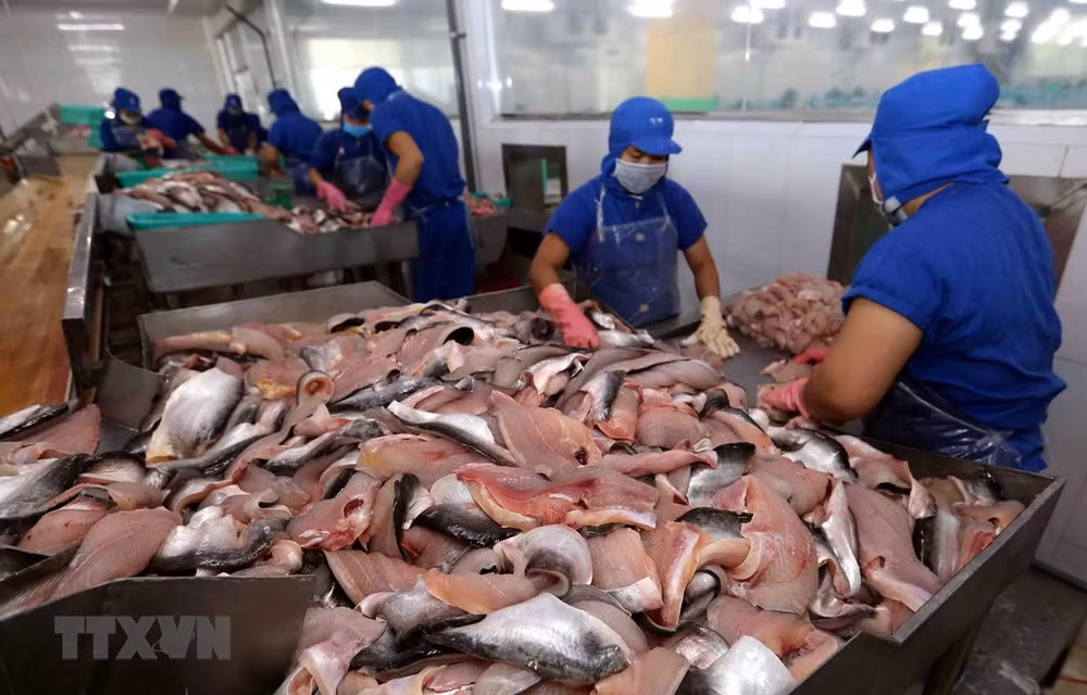 Disminuyen exportaciones pesqueras de Vietnam por COVID-19 ảnh 1