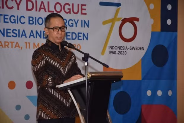 Rechaza Indonesia política energética de la Unión Europea ảnh 1