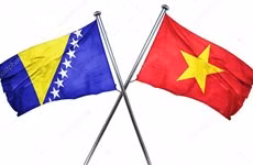 Felicita Vietnam a Bosnia y Herzegovina por Día de la Independencia ảnh 1
