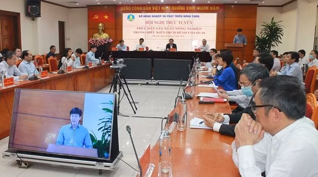 Vietnam aplica medidas para promover producción agrícola ảnh 1