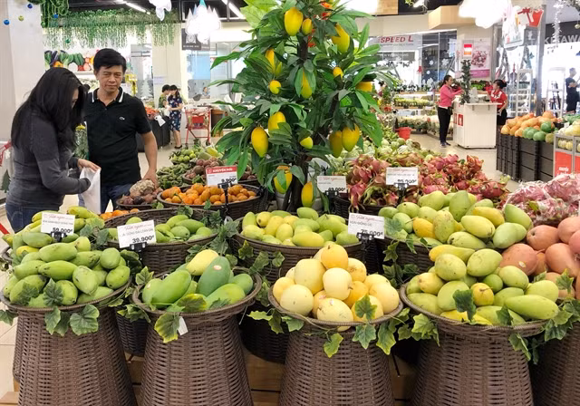 Resultará difícil alcanzar objetivo de exportación de frutas y verduras de Vietnam en 2020 ảnh 1