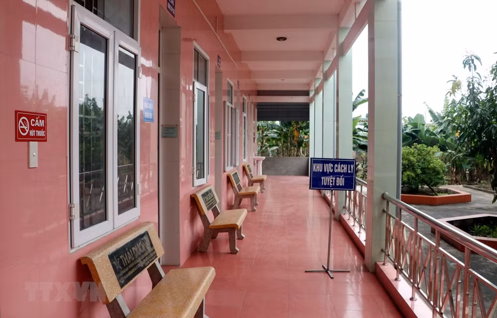 Vietnamita infectado por COVID-19 tras atender a turistas extranjeros ảnh 1