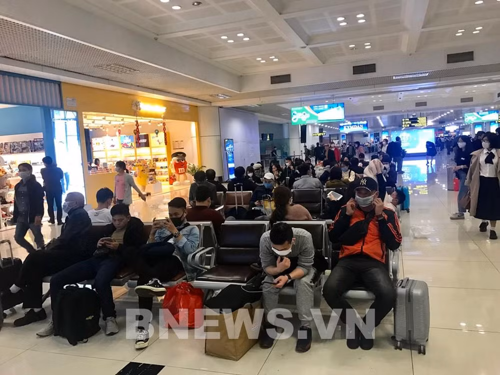 Aeropuerto vietnamita de Noi Bai recibe a más de 270 retornados ảnh 1