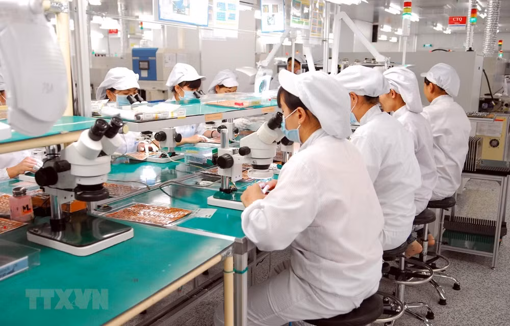 Ciudad Ho Chi Minh por mejorar calidad de trabajadores para programas en el exterior ảnh 1