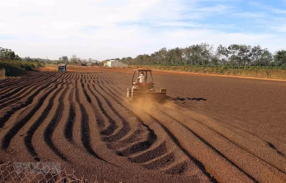 Tratado comercial con UE impulsará crecimiento de Vietnam a largo plazo ảnh 1