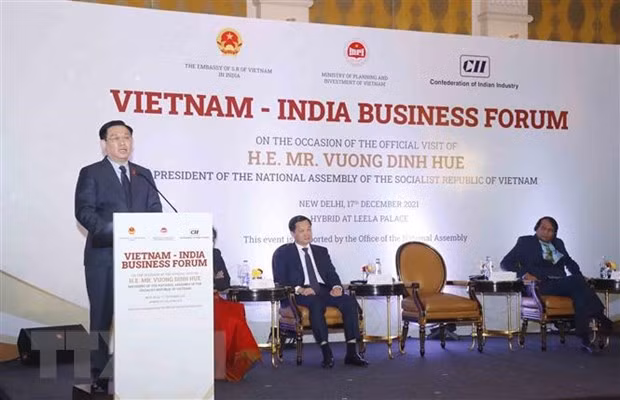 Destacan enormes potencialidades de cooperación económica entre Vietnam y la India ảnh 1