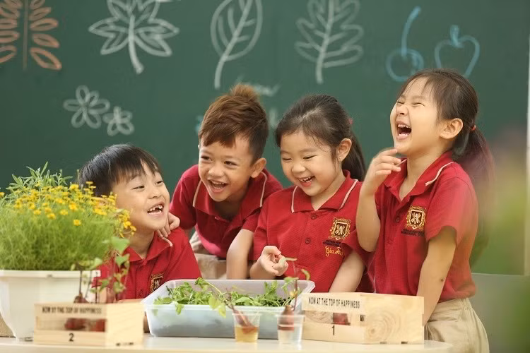 Anuncian resultados de encuesta sobre objetivos de desarrollo sostenible para niños y mujeres en Vietnam ảnh 1