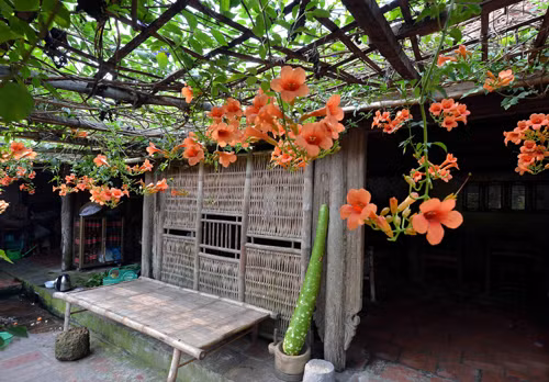 Destinos cercanos a Hanoi elegidos por turistas durante el Año Nuevo ảnh 3