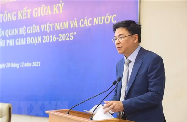 Destacan cooperación entre Vietnam y región de Medio Oriente y África ảnh 1